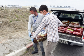 ALİAĞA BELEDİYESİ CAN DOSTLARINI UNUTMADI Galeri