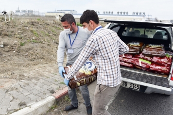 ALİAĞA BELEDİYESİ CAN DOSTLARINI UNUTMADI Galeri