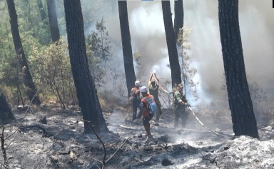 Aliağa Belediyesi Ekipleri Marmaris Yangın Bölgesinde Görevde Galeri