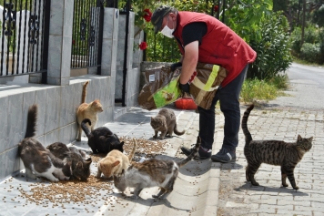 Aliağa Belediyesi Mama Dağıtımlarını Sürdürüyor Galeri