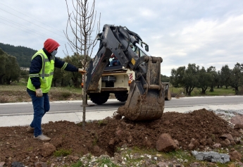 Bozköy’e 75 Adet Süs Armudu Galeri