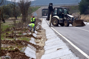 Bozköy’e 75 Adet Süs Armudu Galeri