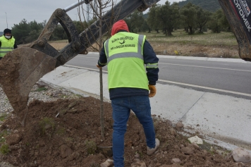 Bozköy’e 75 Adet Süs Armudu Galeri