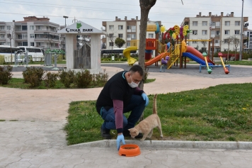 ALİAĞA BELEDİYESİ CAN DOSTLARININ YANINDA OLMAYA DEVAM EDİYOR Galeri