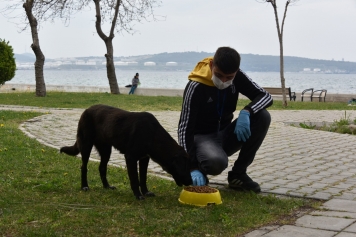 ALİAĞA BELEDİYESİ CAN DOSTLARININ YANINDA OLMAYA DEVAM EDİYOR Galeri