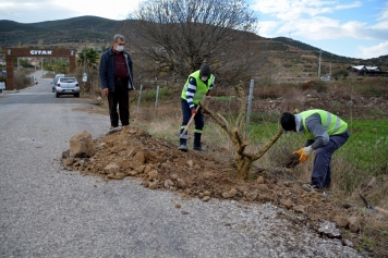 Aliağa Belediyesi’nden Çıtak Mahallesi’ne 600 Nar Ağacı Galeri