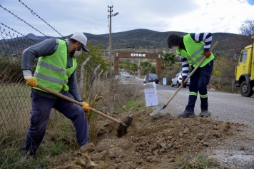 Aliağa Belediyesi’nden Çıtak Mahallesi’ne 600 Nar Ağacı Galeri