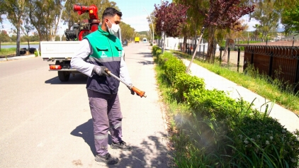 Aliağa Belediyesi’nden Haşerelere Karşı Yoğun Mücadele Galeri