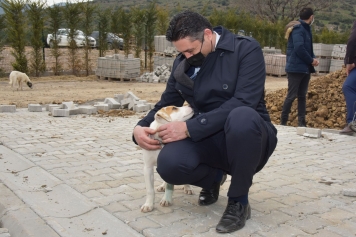 Sevimli Dostlar Aliağa Belediyesi Güvencesinde Galeri