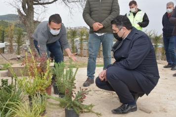 Sevimli Dostlar Aliağa Belediyesi Güvencesinde Galeri