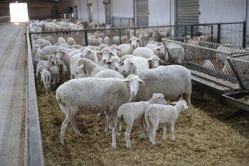 Aliağa Kırsal Kalkınmada Örnek Olmaya Devam Ediyor Galeri