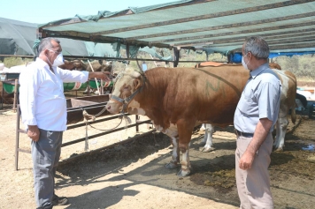 Aliağa’da kurban kesim yerleri belirlendi Galeri