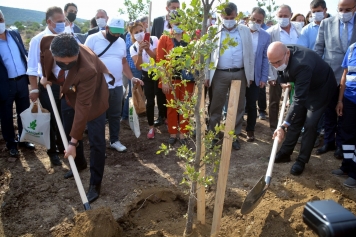 Kalabak’ta “İzmir Muhtarları Hatıra Ormanı” Oluşturuldu Galeri