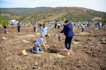 Kalabak’ta “İzmir Muhtarları Hatıra Ormanı” Oluşturuldu Galeri