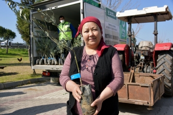 Aliağa’da Zeytin Şöleni Sürüyor Galeri