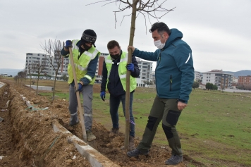 Güzelhisar Caddesi’nde 400 Ağaç Toprakla Buluştu Galeri