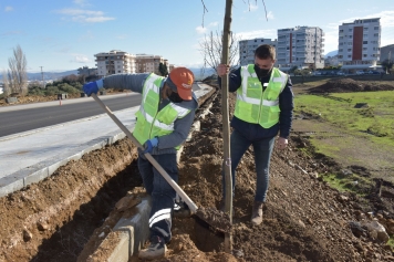 Güzelhisar Caddesi’nde 400 Ağaç Toprakla Buluştu Galeri