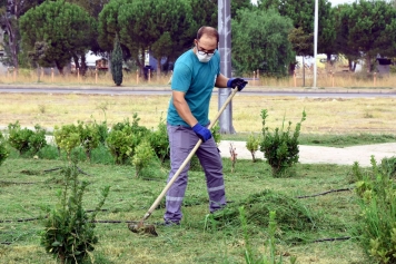 Aliağa’da Park ve Yeşil Alanlar Pırıl Pırıl Galeri