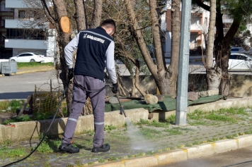 Aliağa’da Sivrisinek Mücadelesi Başladı Galeri