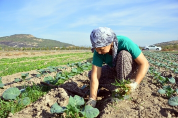 Aliağalı Kadınlardan Doğal Tarım Atağı Galeri