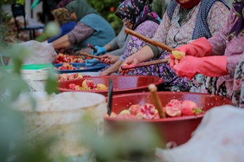 Aliağa’nın Doğal Çıtak Nar Ekşisi’nin Sofralara Uzanan Öyküsü Galeri