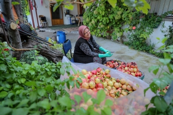 Aliağa’nın Doğal Çıtak Nar Ekşisi’nin Sofralara Uzanan Öyküsü Galeri