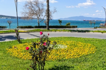 Aliağa’nın Dört Bir Yanına Bahar Geldi Galeri