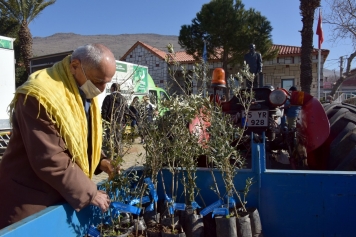 Helvacı’da Zeytin Fidanları Üreticiyle Buluştu Galeri