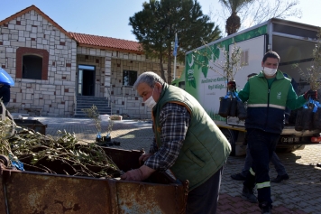 Helvacı’da Zeytin Fidanları Üreticiyle Buluştu Galeri