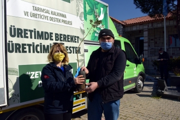 Helvacı’da Zeytin Fidanları Üreticiyle Buluştu Galeri