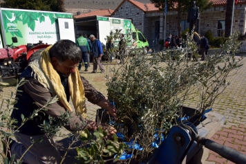 Helvacı’da Zeytin Fidanları Üreticiyle Buluştu Galeri