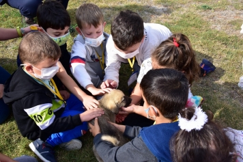 Minik Öğrencilerin Pati Park Keyfi   Galeri