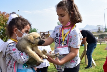 Minik Öğrencilerin Pati Park Keyfi   Galeri