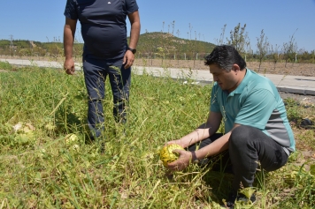 Başkan Serkan Acar Hafta Sonunu Çalışanlarla Birlikte Sahada Geçirdi Galeri