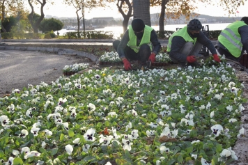 Park ve Bahçeler Müdürlüğü Ekipleri Aliağa’nın  Her Yerinde Galeri