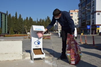 Sevimli Dostlar Emin Ellerde Galeri