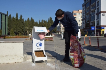 Sokaklarımızdaki Sevimli Dostlar, Mamasız Kalmıyor Galeri