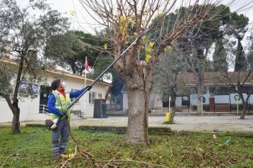 Yılın İlk Durağı Çaltılıdere Mahallesi Galeri